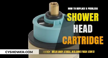 Easy DIY Guide: Replacing a Peerless Shower Head Cartridge