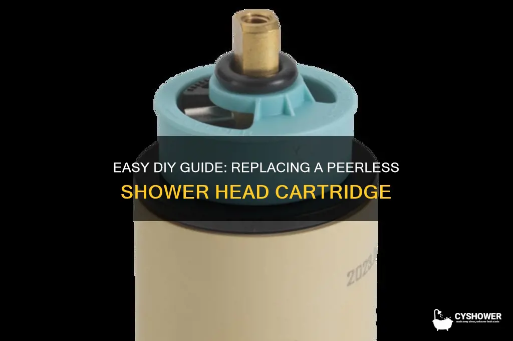 how to replace a peerless shower head cartridge