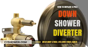 Easy DIY Guide: Replacing Your Pull Down Shower Diverter Step-by-Step