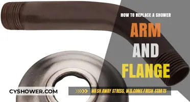 Easy DIY Guide: Replacing Your Shower Arm and Flange