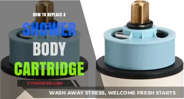 Easy DIY Guide: Replacing Your Shower Body Cartridge Step-by-Step