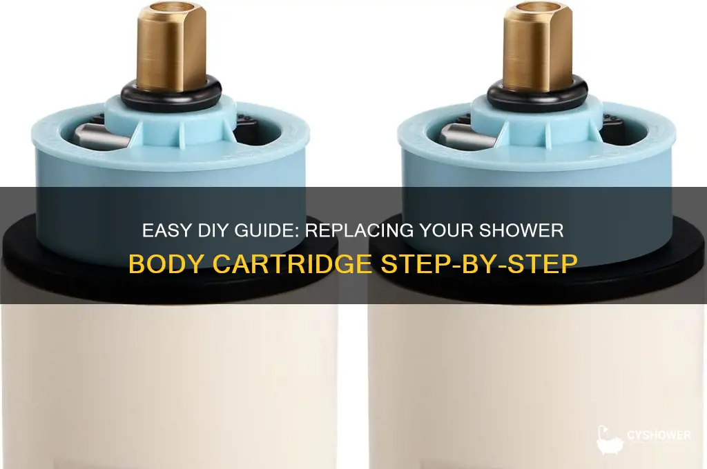 how to replace a shower body cartridge