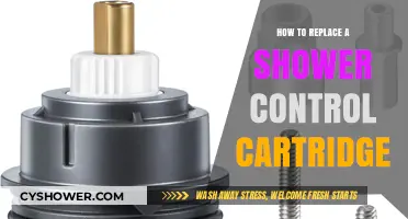 DIY Shower Repair: Step-by-Step Guide to Replacing a Control Cartridge