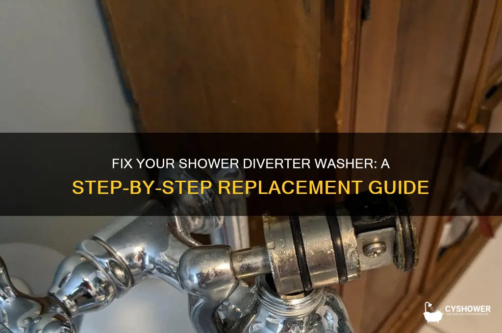how to replace a shower diverter washer