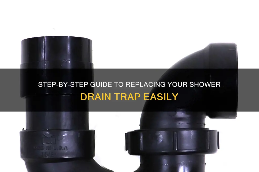 how to replace a shower drain trap