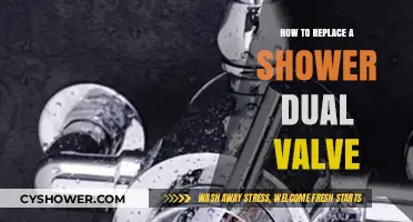 Easy DIY Guide: Replacing Your Shower Dual Valve Step-by-Step