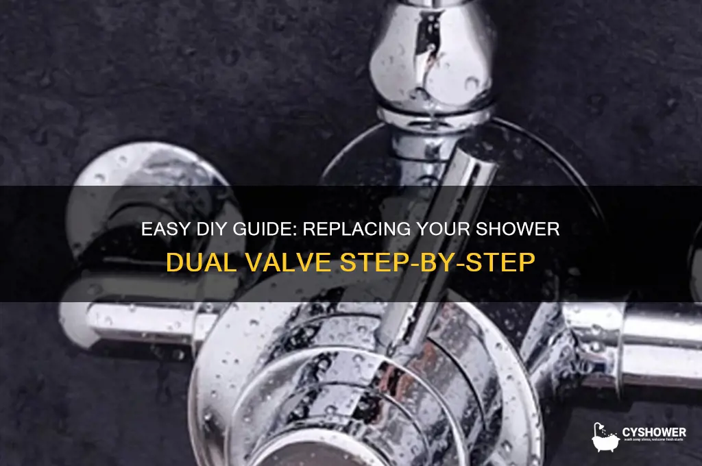 how to replace a shower dual valve