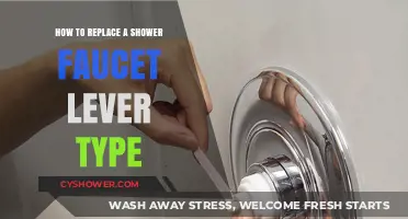Easy DIY Guide: Replacing a Shower Faucet Lever Type