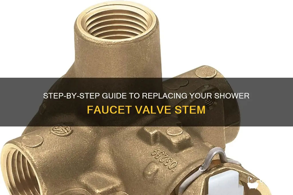 how to replace a shower faucet valve stem
