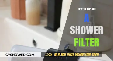 Easy DIY Guide: Replacing Your Shower Filter in Simple Steps