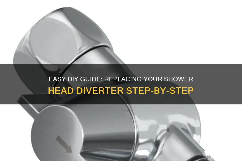 how to replace a shower head diverter