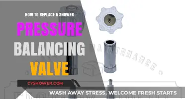 Easy DIY Guide: Replacing Your Shower Pressure Balancing Valve