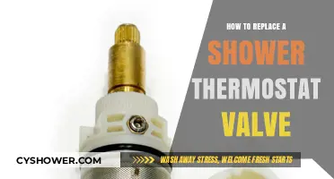 Step-by-Step Guide to Replacing Your Shower Thermostat Valve Easily