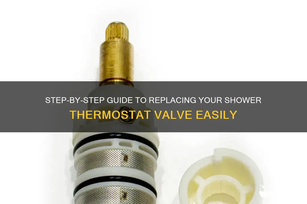 how to replace a shower thermostat valve
