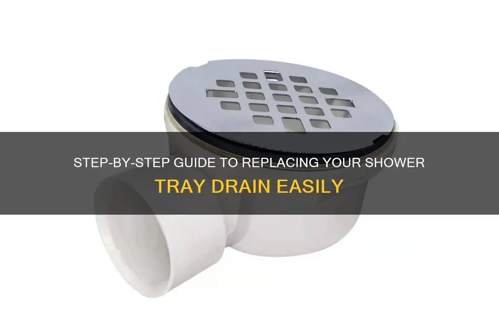 how to replace a shower tray drain