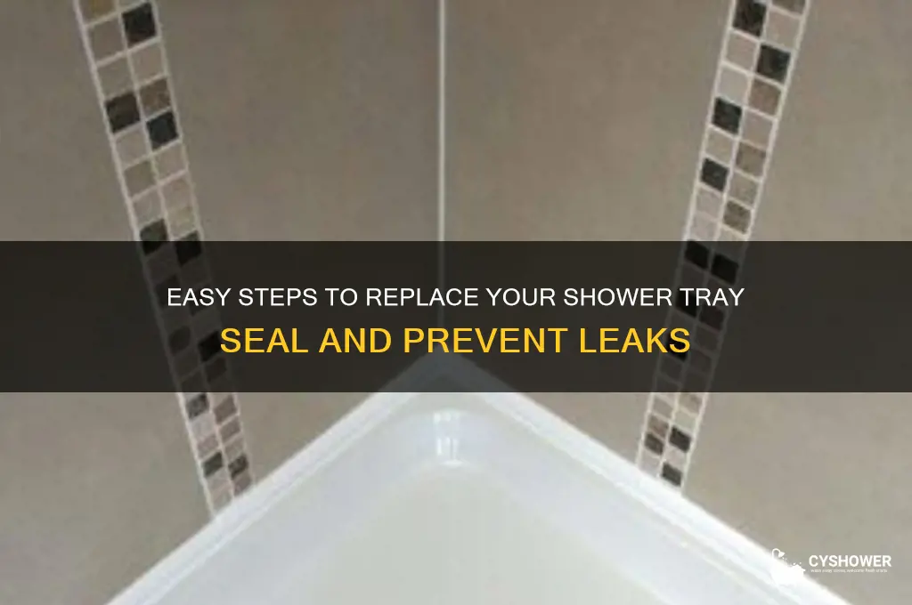 how to replace a shower tray seal