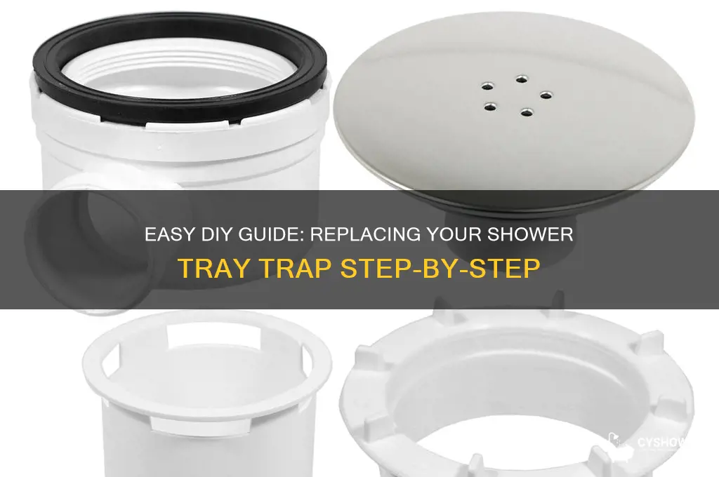 how to replace a shower tray trap