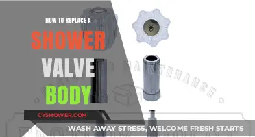 Step-by-Step Guide to Replacing Your Shower Valve Body Easily