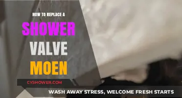 Step-by-Step Guide to Replacing a Moen Shower Valve Easily