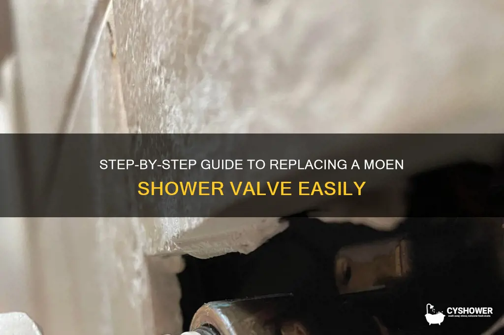 how to replace a shower valve moen