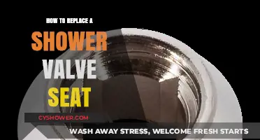 Step-by-Step Guide to Replacing a Shower Valve Seat Easily