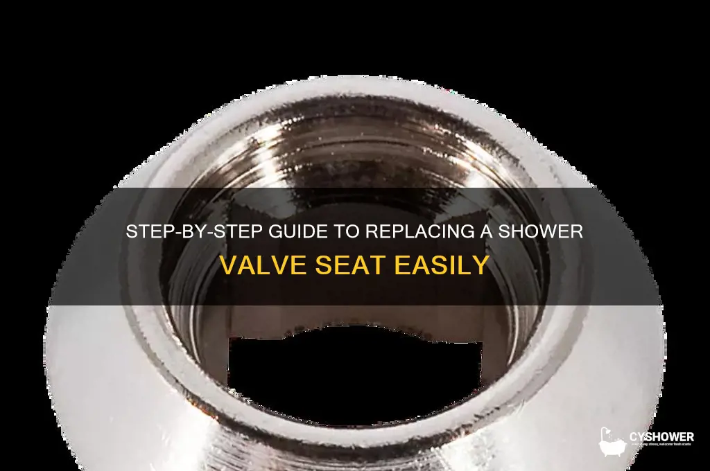 how to replace a shower valve seat