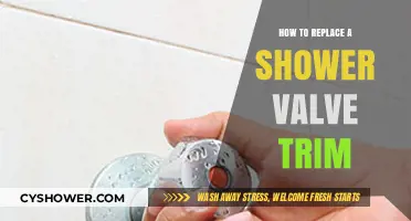 Easy DIY Guide: Replacing Your Shower Valve Trim Step-by-Step
