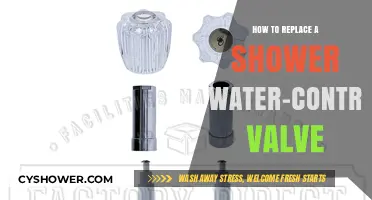 Step-by-Step Guide to Replacing Your Shower Water-Control Valve
