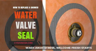 Easy DIY Guide: Replacing Your Shower Water Valve Seal Step-by-Step