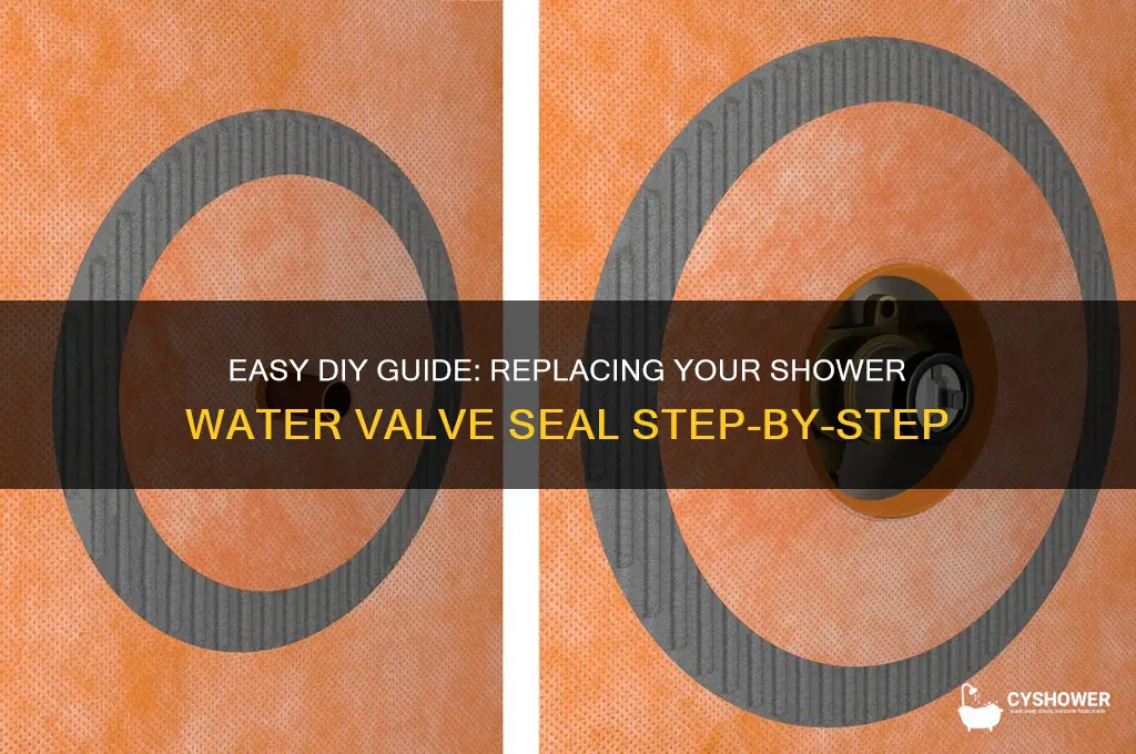 how to replace a shower water valve seal