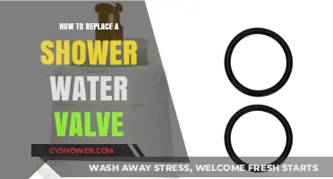 Easy DIY Guide: Replacing Your Shower Water Valve Step-by-Step