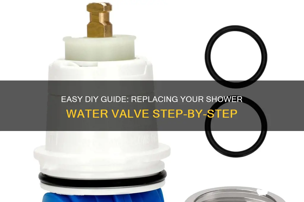 how to replace a shower water valve