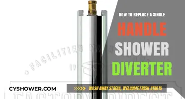 Easy DIY Guide: Replacing a Single Handle Shower Diverter