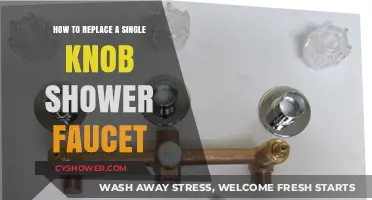 Easy DIY Guide: Replacing a Single Knob Shower Faucet Step-by-Step