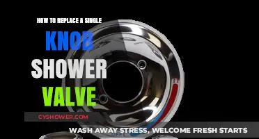 Easy DIY Guide: Replacing a Single Knob Shower Valve Step-by-Step