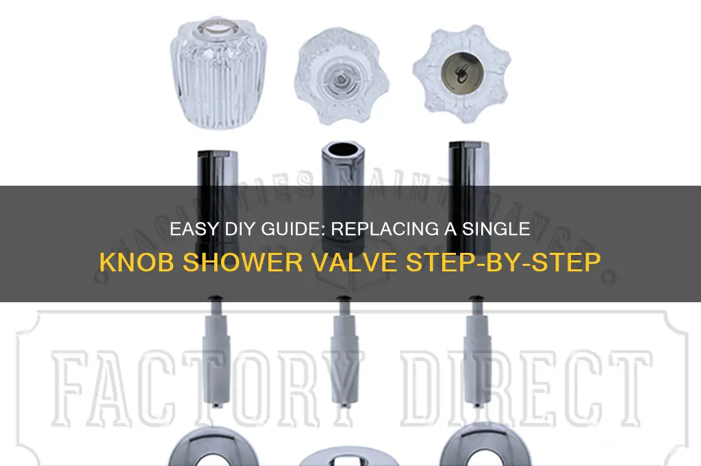 how to replace a single knob shower valve