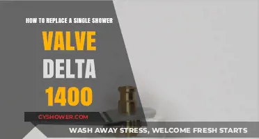 Easy DIY Guide: Replacing a Delta 1400 Single Shower Valve