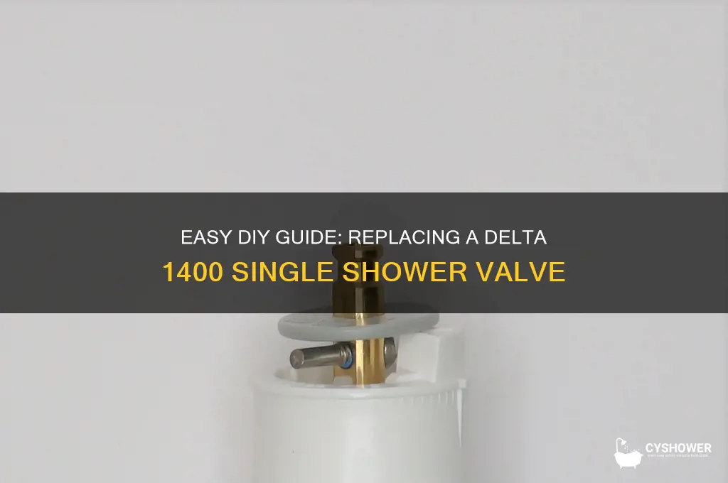 how to replace a single shower valve delta 1400