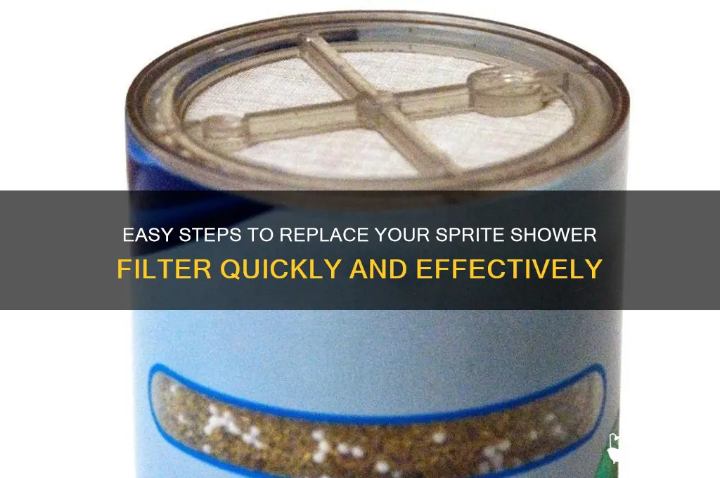 how to replace a sprite shower filter