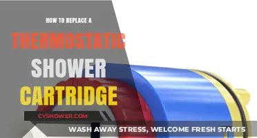 DIY Guide: Replacing a Thermostatic Shower Cartridge Step-by-Step