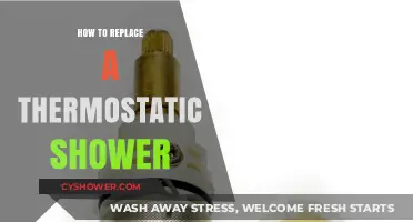 Step-by-Step Guide: Replacing a Thermostatic Shower Valve Easily