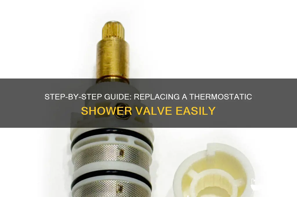 how to replace a thermostatic shower