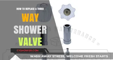 Easy DIY Guide: Replacing a Three-Way Shower Valve Step-by-Step