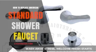 Easy DIY Guide: Replacing Your American Standard Shower Faucet