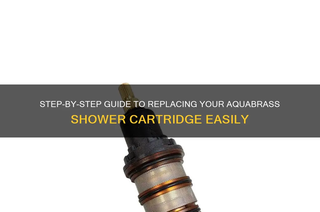 how to replace an aquabrass shower cartidge