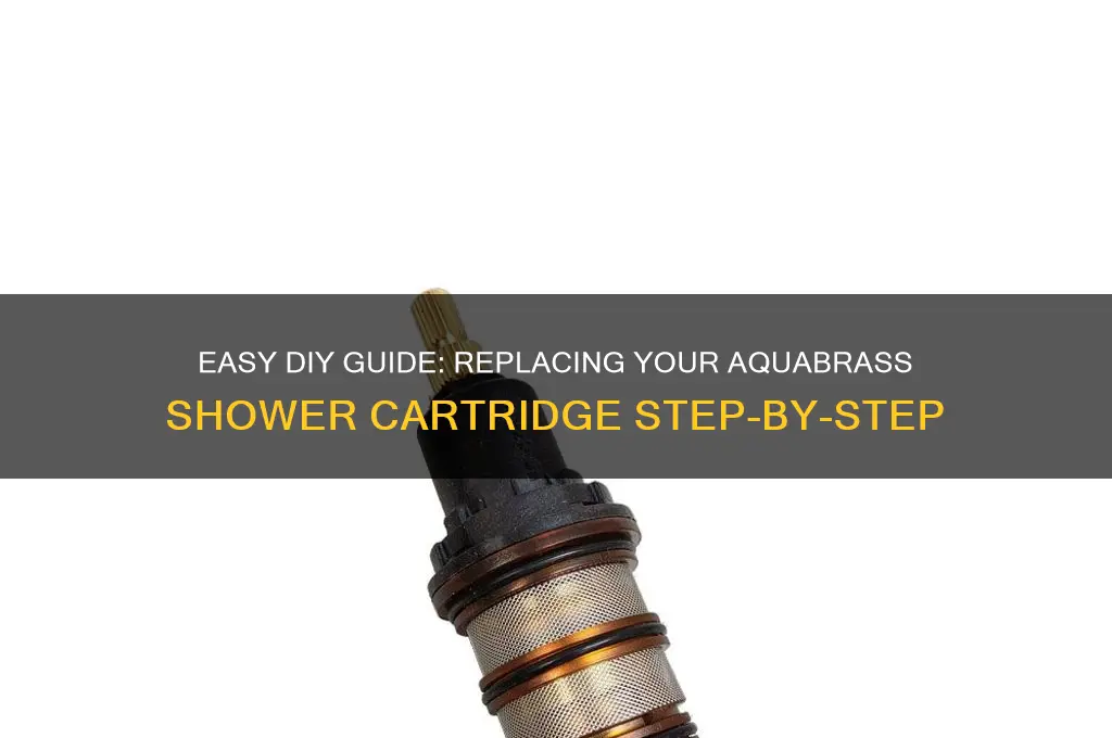 how to replace an aquabrass shower cartridge