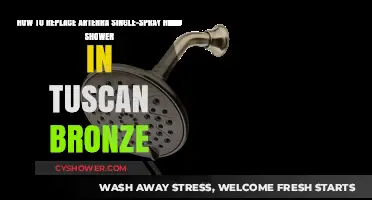 DIY Guide: Replacing Arterra Tuscan Bronze Single-Spray Hand Shower