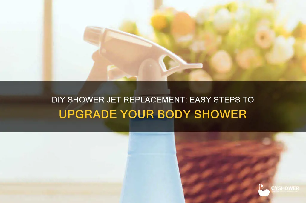 how to replace body shower jet diy