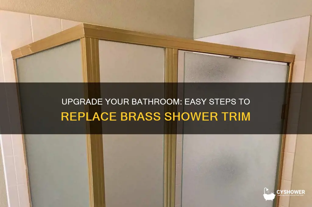 how to replace brass shower trim