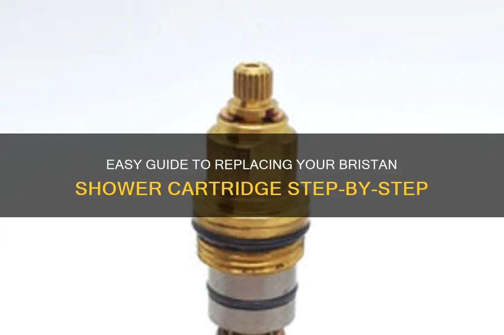 how to replace bristan shower cartridge